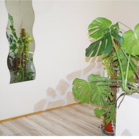 L'Appartement 90M2 Climatise 아비뇽 외부 사진