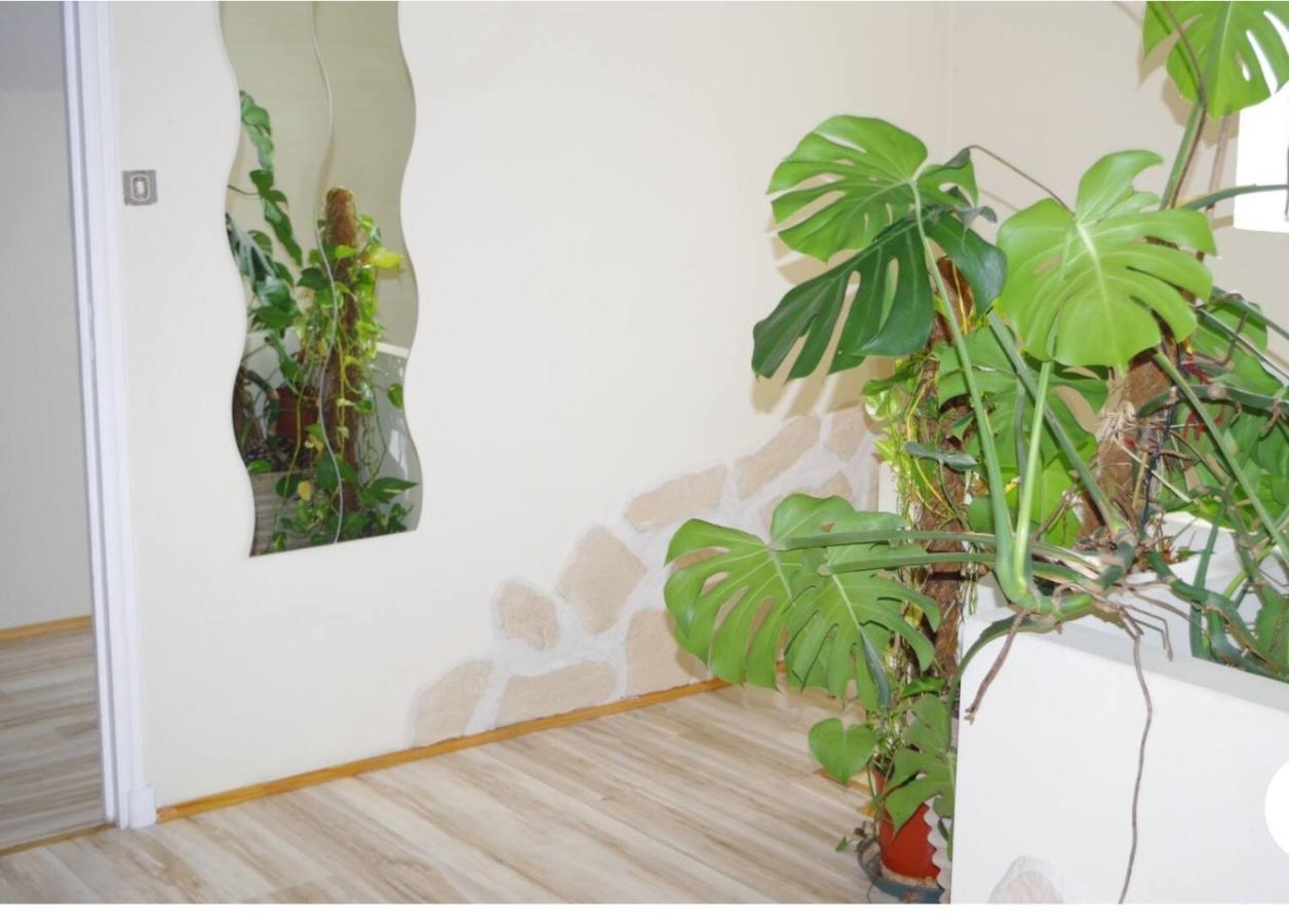 L'Appartement 90M2 Climatise 아비뇽 외부 사진